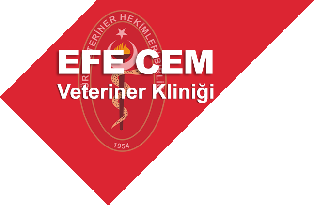 Efe Cem Veteriner Kliniği
